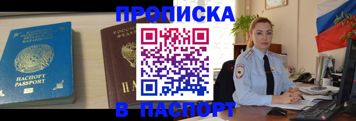 где прописаться в Коле