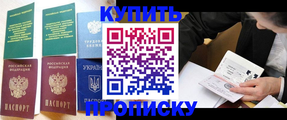 прописка для школы в Коле